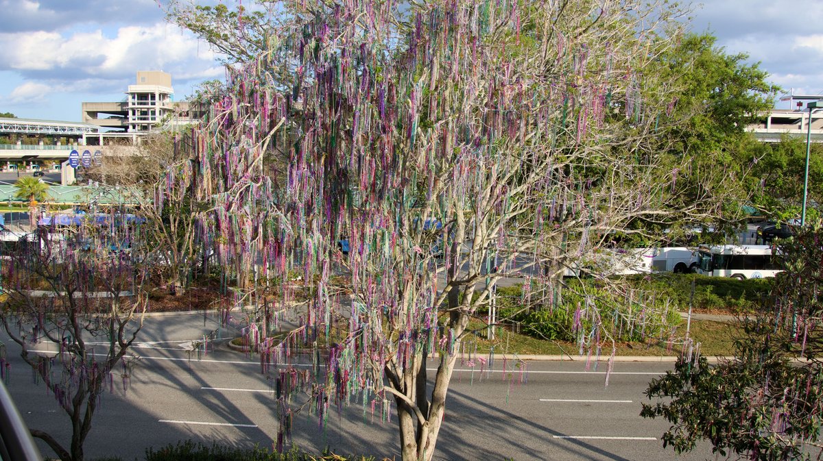 bioreconstruct tweet media