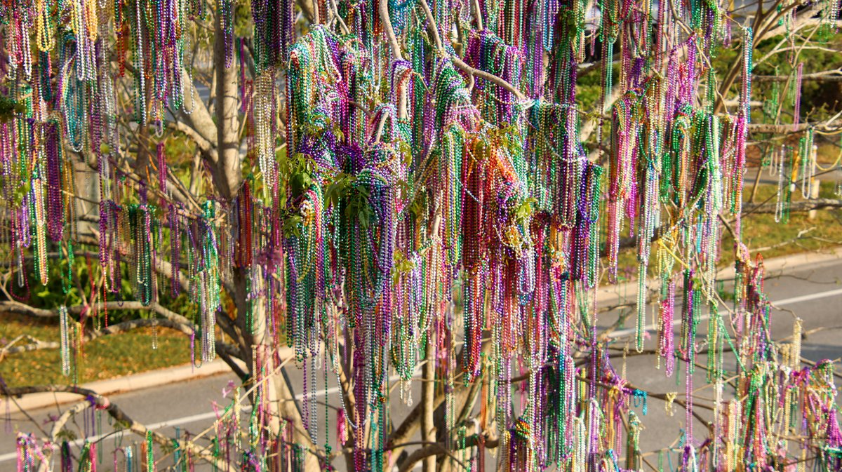 bioreconstruct tweet media