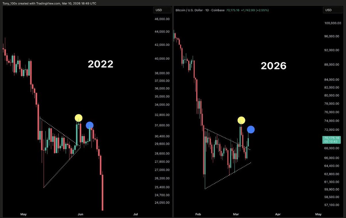 The ₿itcoin Therapist tweet media
