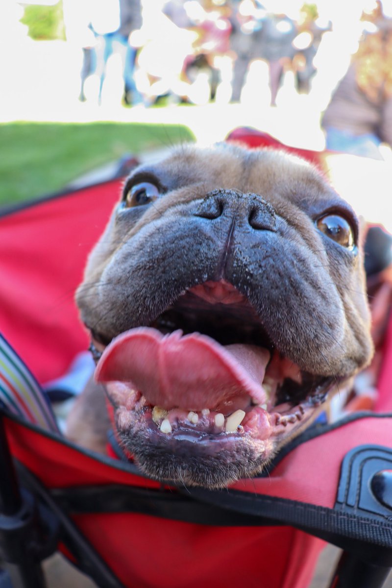 CityofSantaMariaCa tweet media