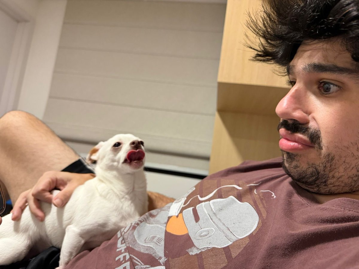 Gustavo Castro tweet media