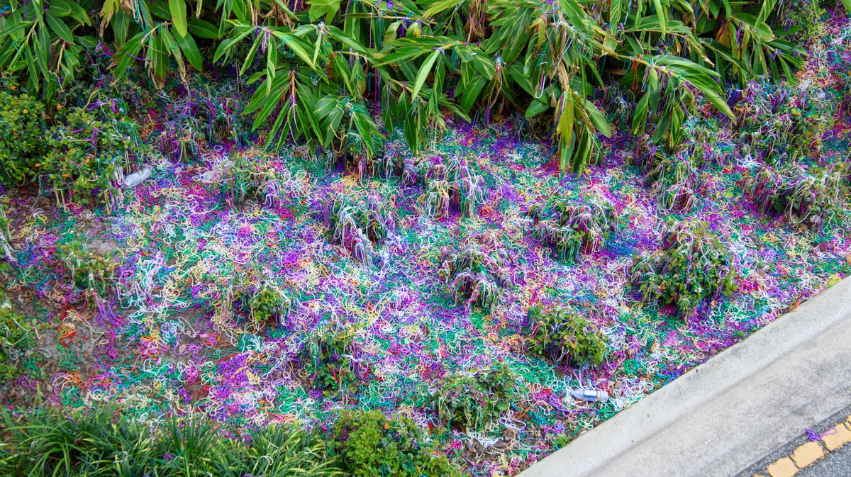 bioreconstruct tweet media