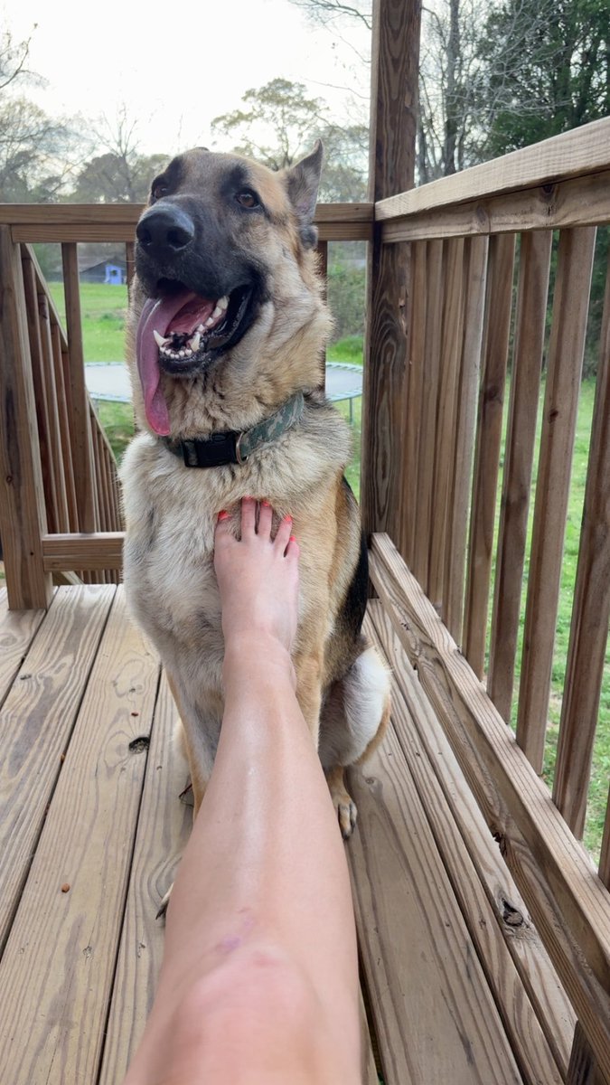 💓Nikki💓 tweet media