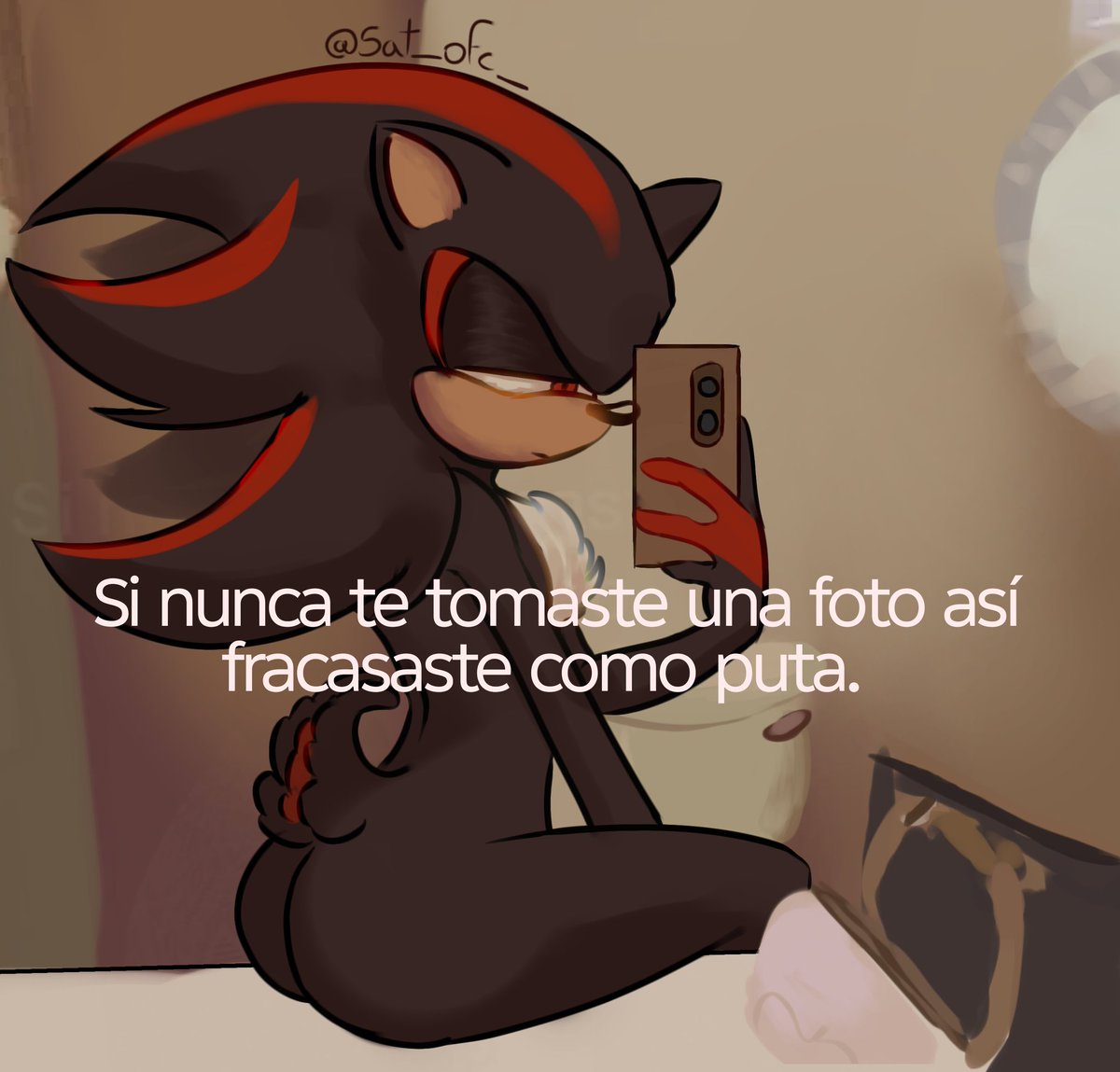 Sat_ofc_'s tweet photo. Pero Shadow nunca fracasa en nada, por eso se la tomó 🗣️

#shadowthehedgehog https://t.co/8tEj4nIJbT