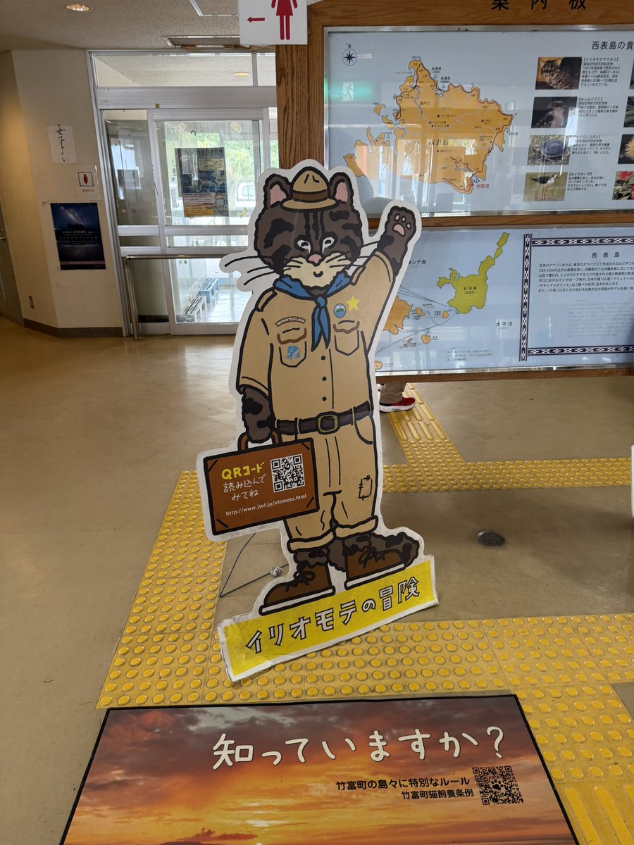 はるばる来たぜイリオモテ