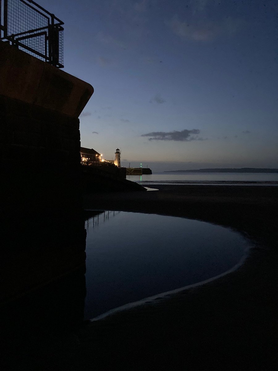 Faith Young Writer tweet media