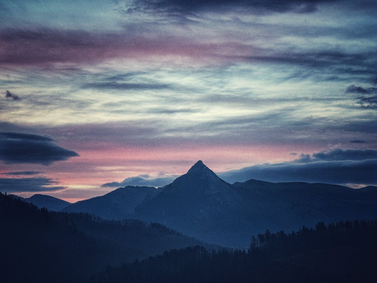 Xabi Smithy Mujika tweet media