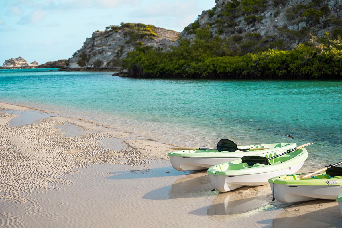 Christy Woodrow tweet media