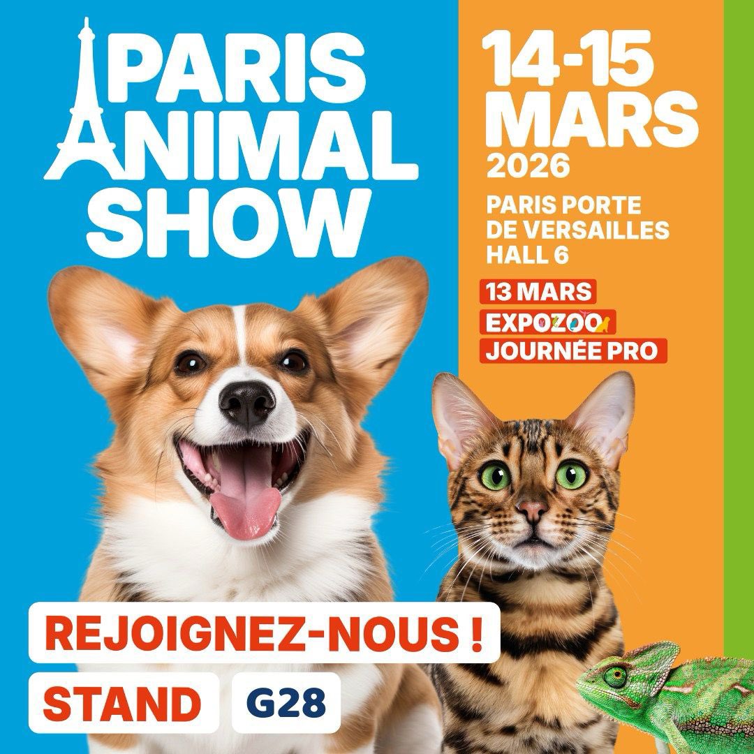 France Petsitters tweet media