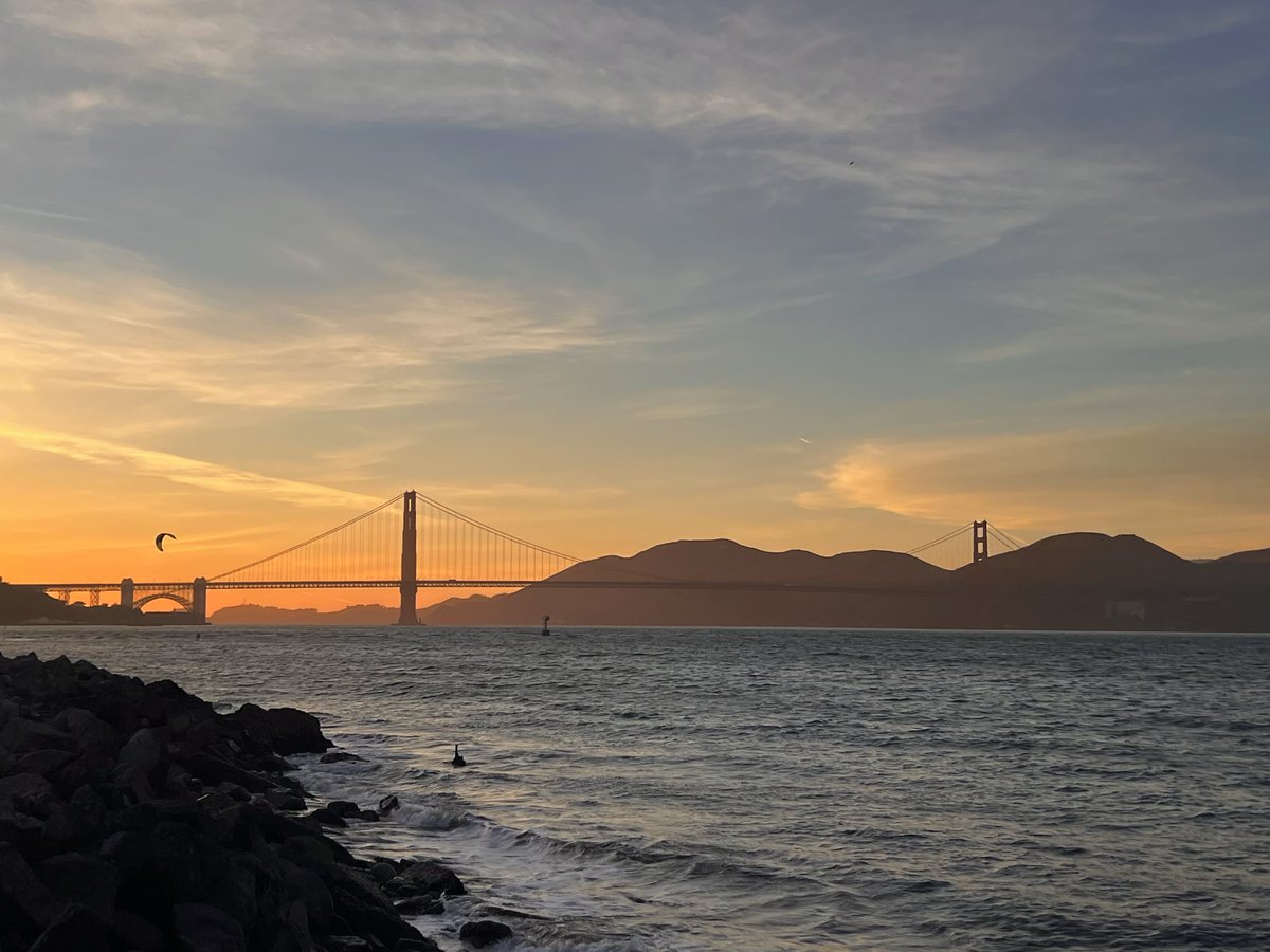 cryptochic tweet media