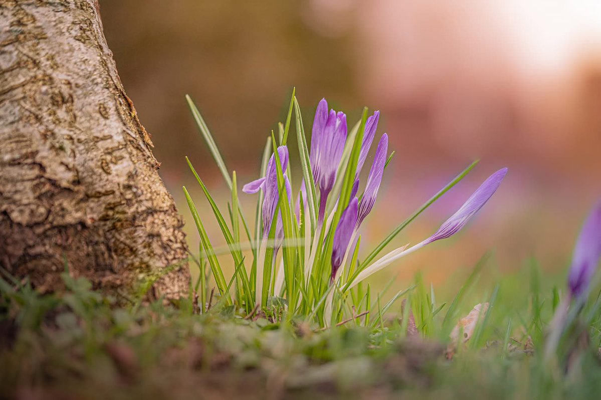 𝑻𝒂𝒓𝒂 𝑲𝒊𝒆𝒌𝒕☕️ tweet media