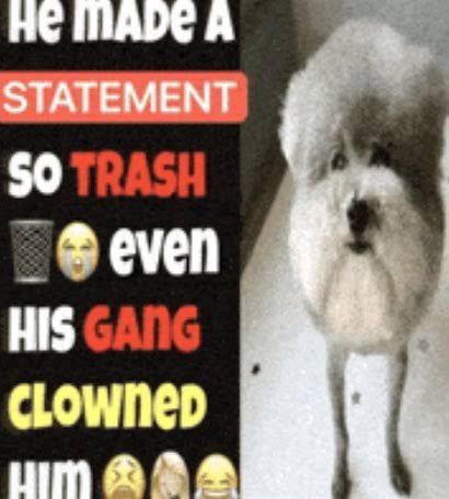 Alex Bobux tweet media