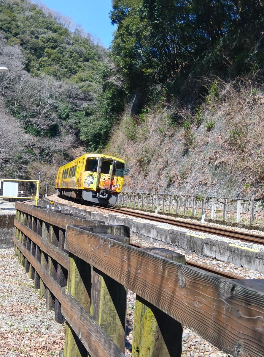 JA5DSP's tweet photo. 頚椎症性脊髄症に負けない山歩き。今日は快晴、坪尻駅(徳島土讃線)を見て来ました。山道はフィントンチッドいっぱいで、深呼吸しながら気分爽快で歩けました。 https://t.co/xaqGvDQKgg