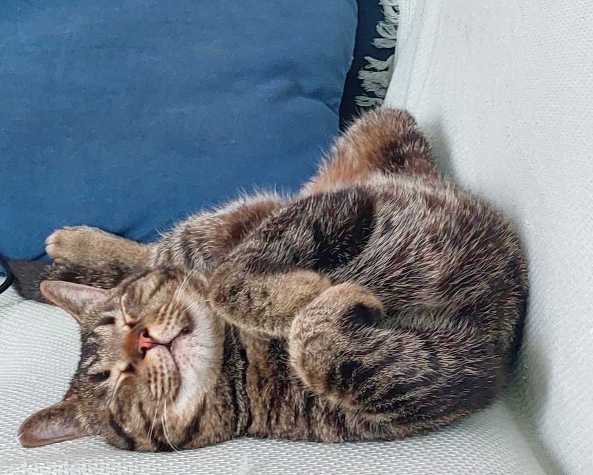 шіркіннің ұйқысы қатты))