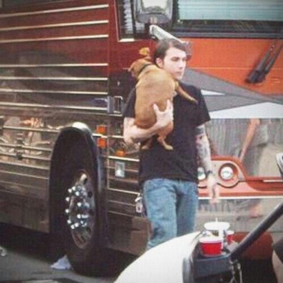 Frank with fat dog daily (@frankfatdog) on Twitter photo 