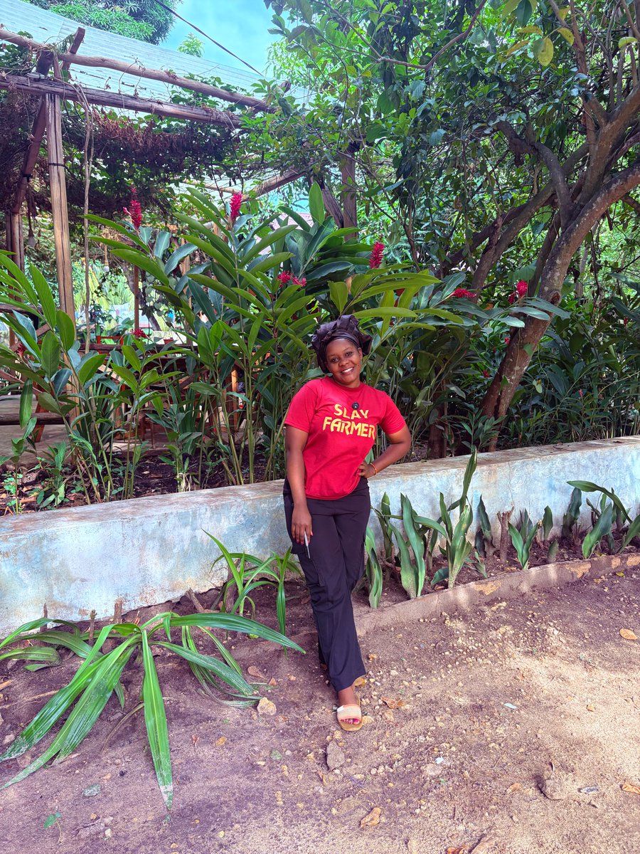 Slay Farmer😍 tweet media