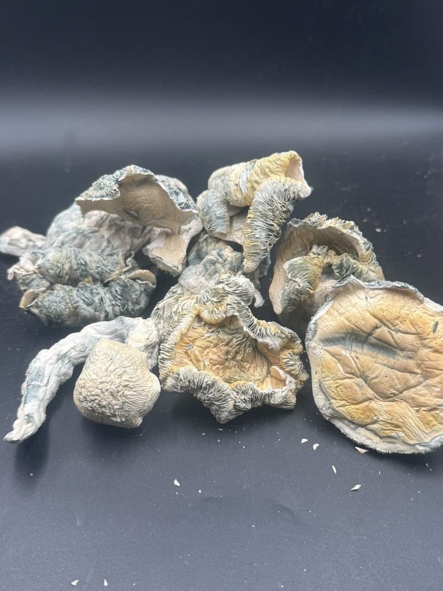 Lilpop114893's tweet image. Three different flavors in hml #atlplug #atlantaplug #gasin #atlga #atlantags #atlanta