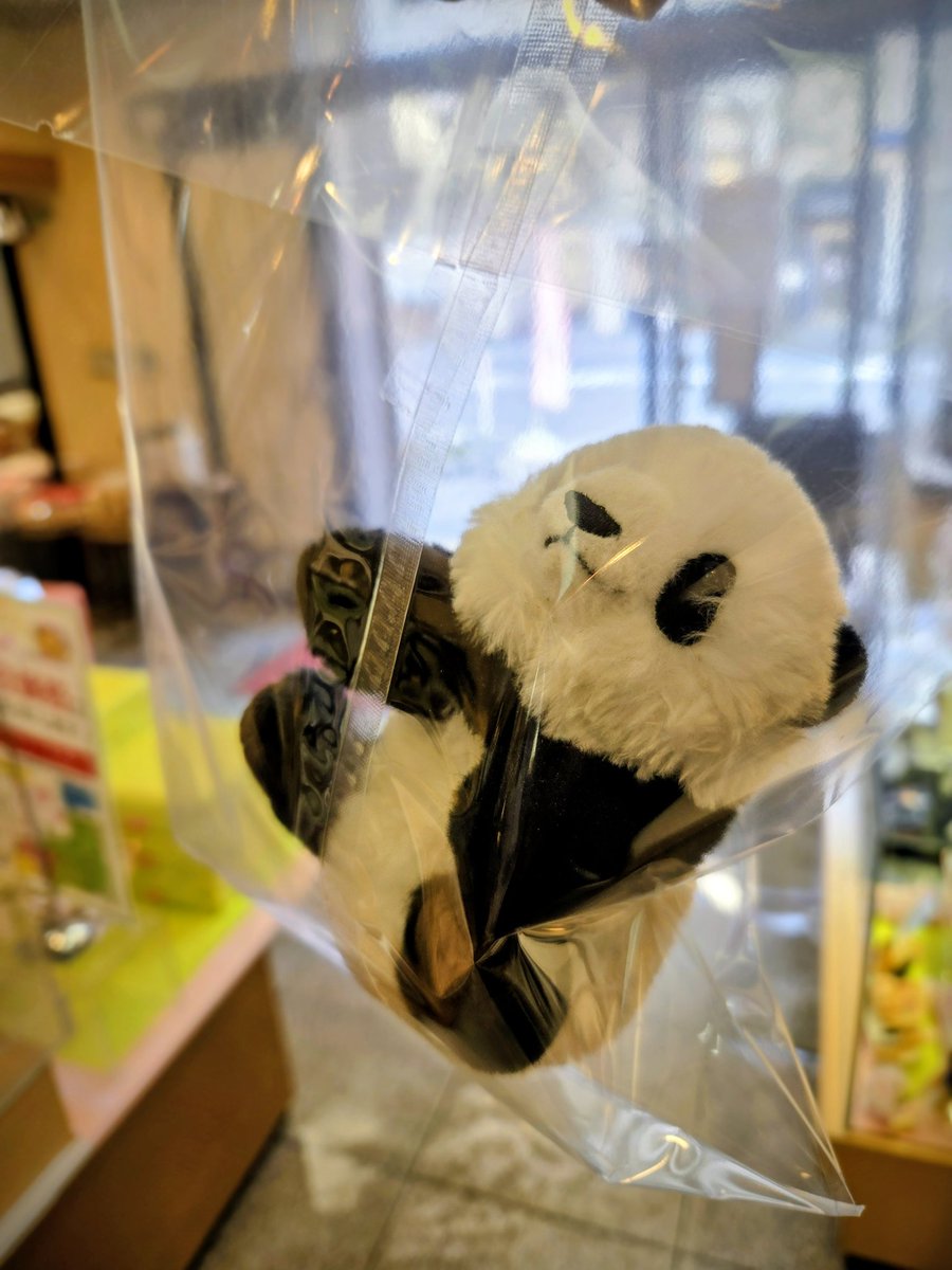 昨日、雨のなか当店の前に落ちていたそうです。
タグには「なおき」くんとのお名前が…
可愛らしいパンダのお人形、両国本店でお預かりしておりますので、お心当たりのありましたら、下記までお問い合わせくださいm(_ _)m

両国本店
0336243939

#迷いパンダ
#落とし物