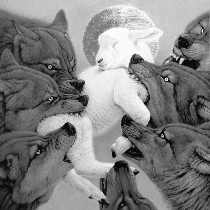 𝐉𝐞𝐝𝐝 𝐁𝐚𝐫𝐥𝐨𝐟𝐭 👻 tweet media