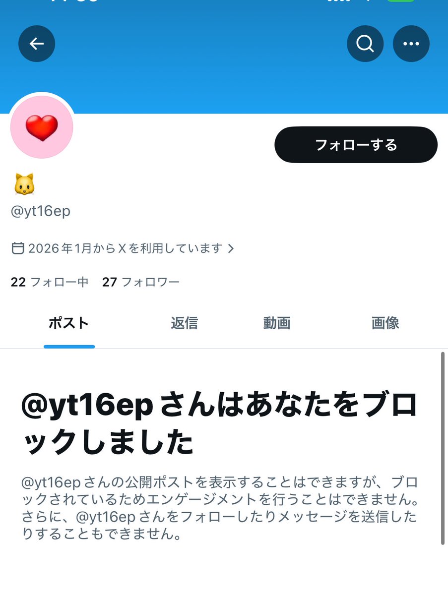 🐻❄️ tweet media