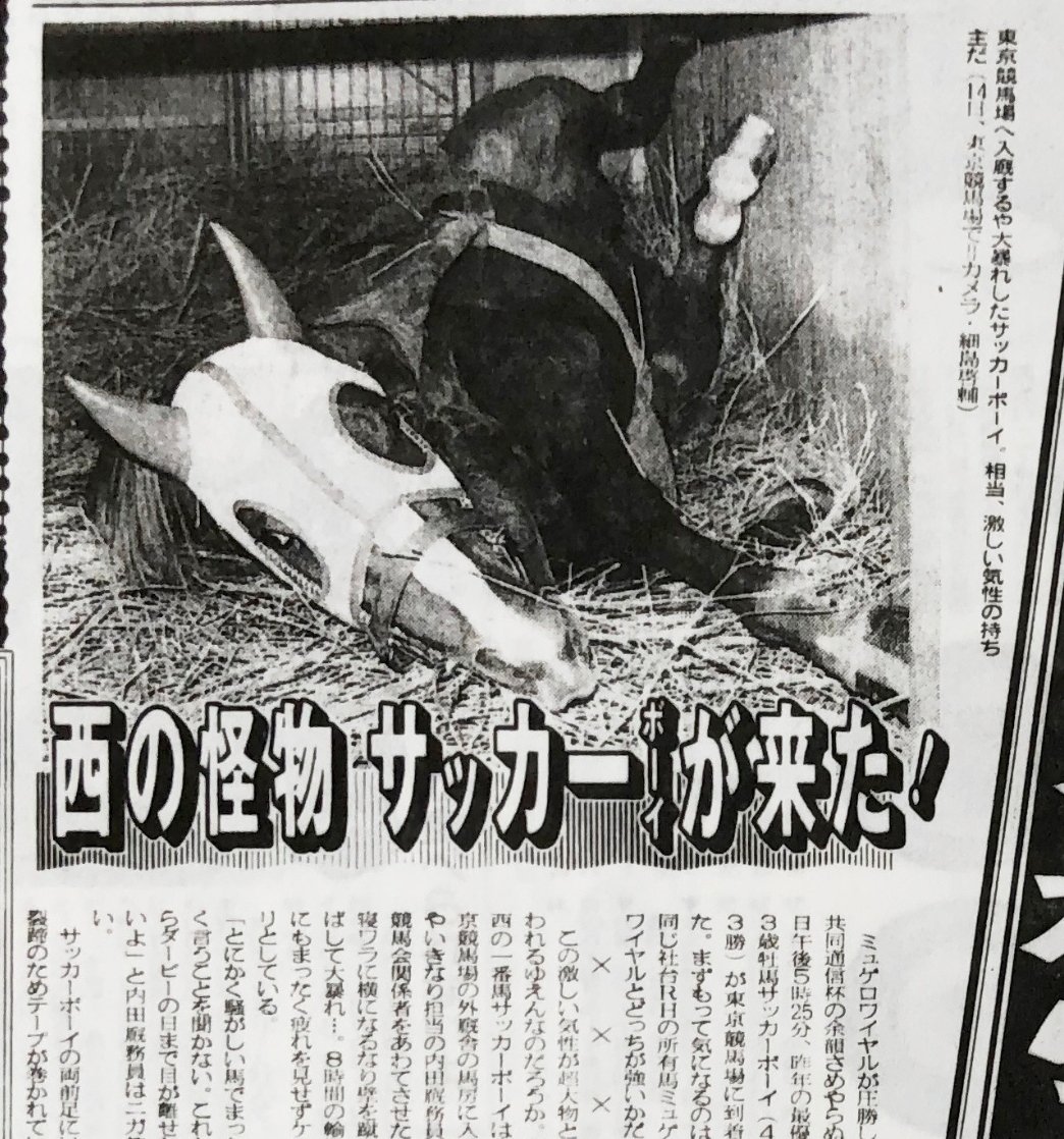 馬房で暴(?)れるルーティンは父の遺伝だよね。サッカーボーイも馬房に来ると激しく寝返りを打った…。 