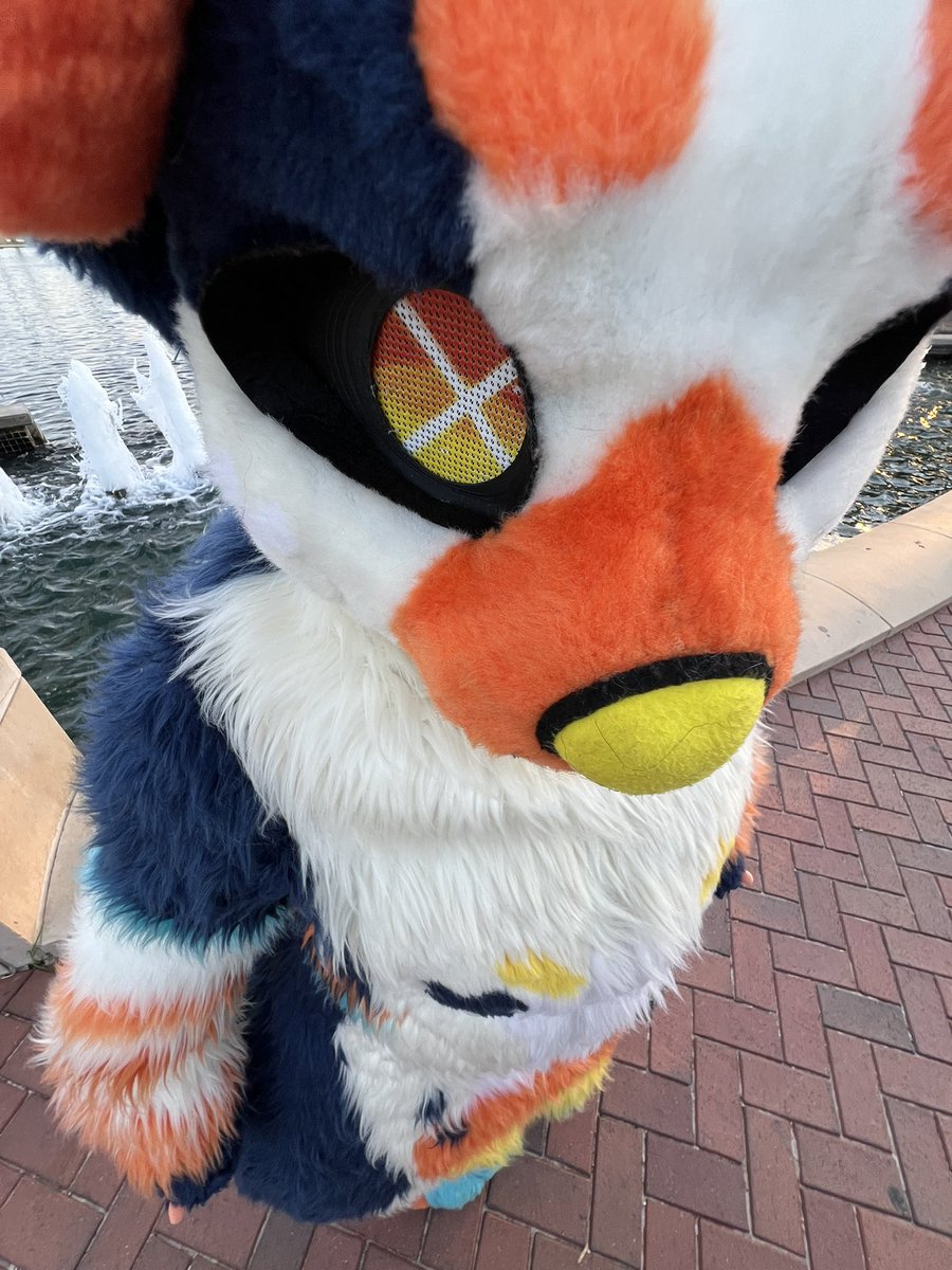 Kimlad5 🔜TFF25 tweet media