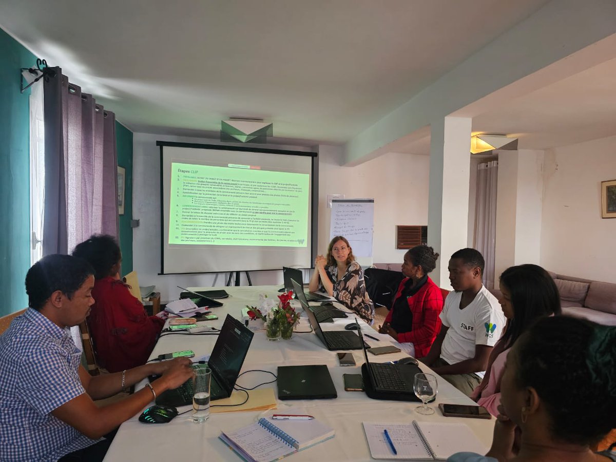 WCS Madagascar tweet media