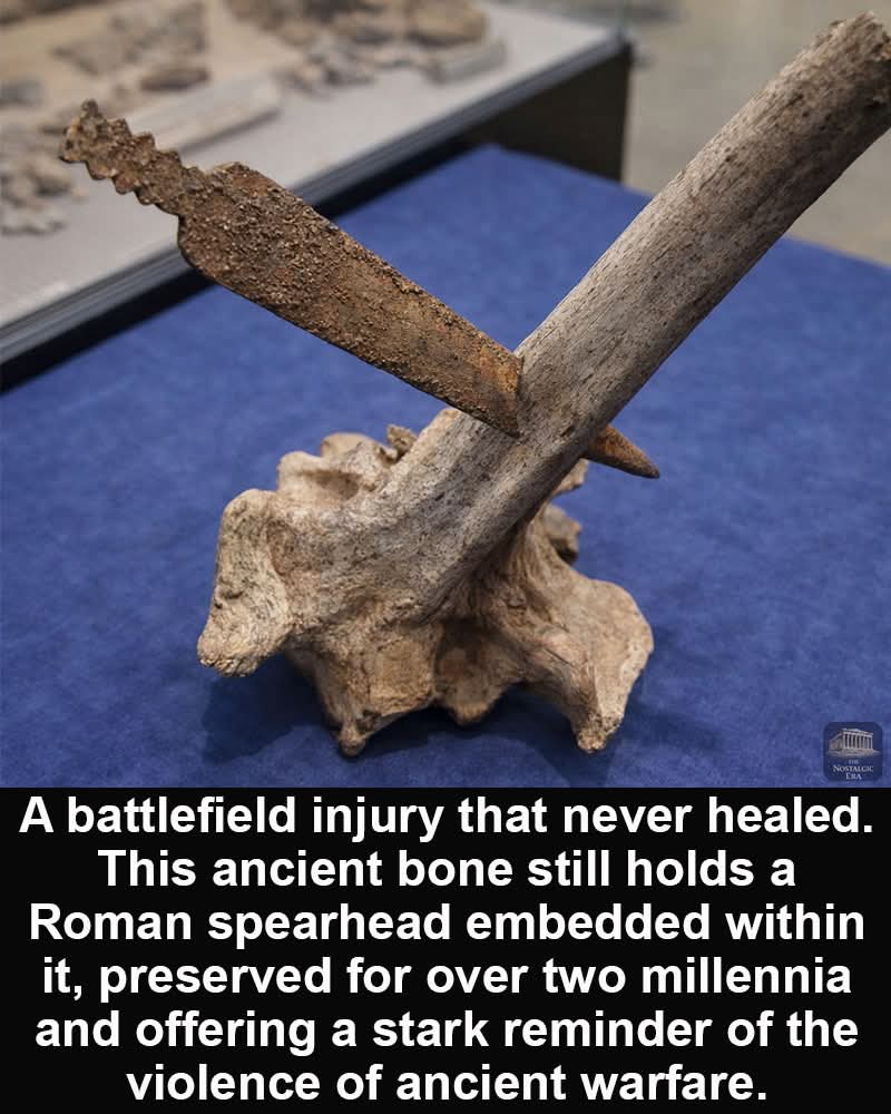 Billy Carson II tweet media