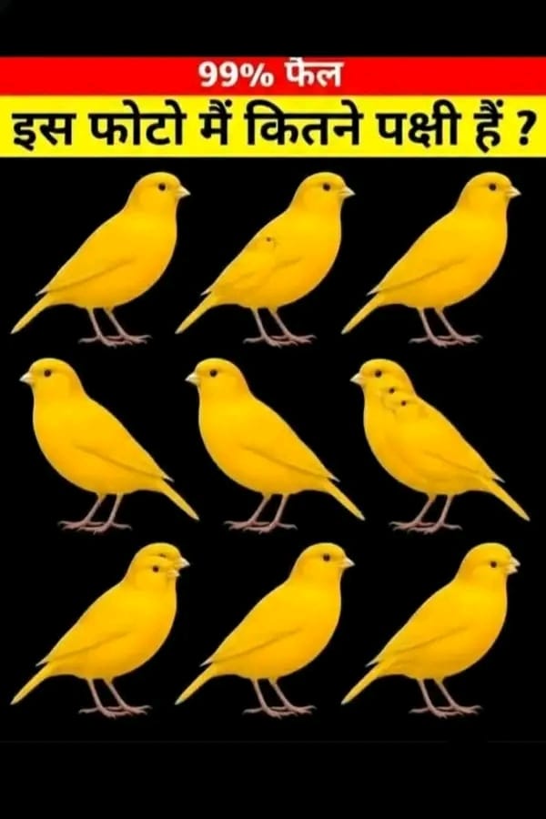 𝗗𝗲𝘀𝗶 𝗩𝗮𝗶𝗱𝘆𝗮 tweet media