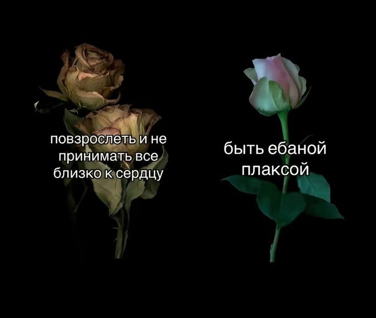 Марти🍂☃️🌱 tweet media