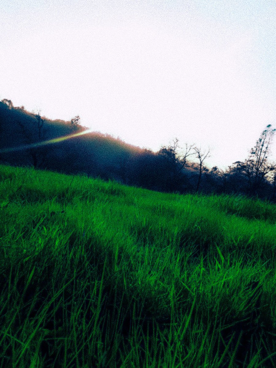 Noodlenek tweet media