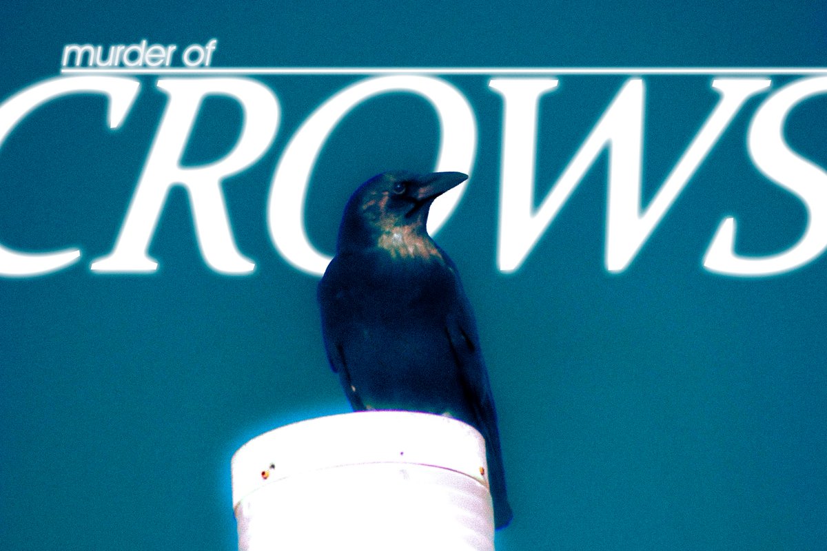 Noodlenek tweet media