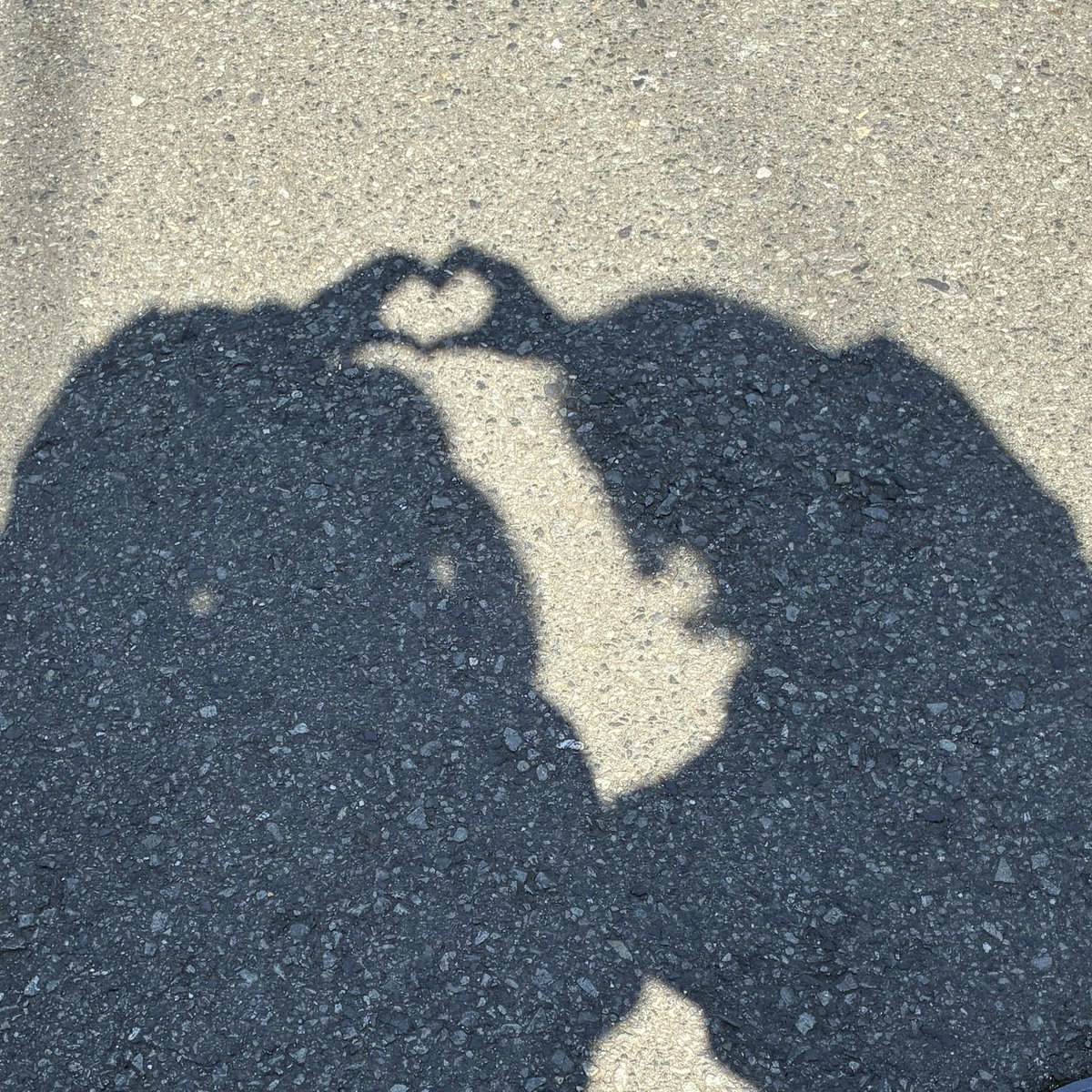 緑川 茶々🍵🐶ྀི tweet media