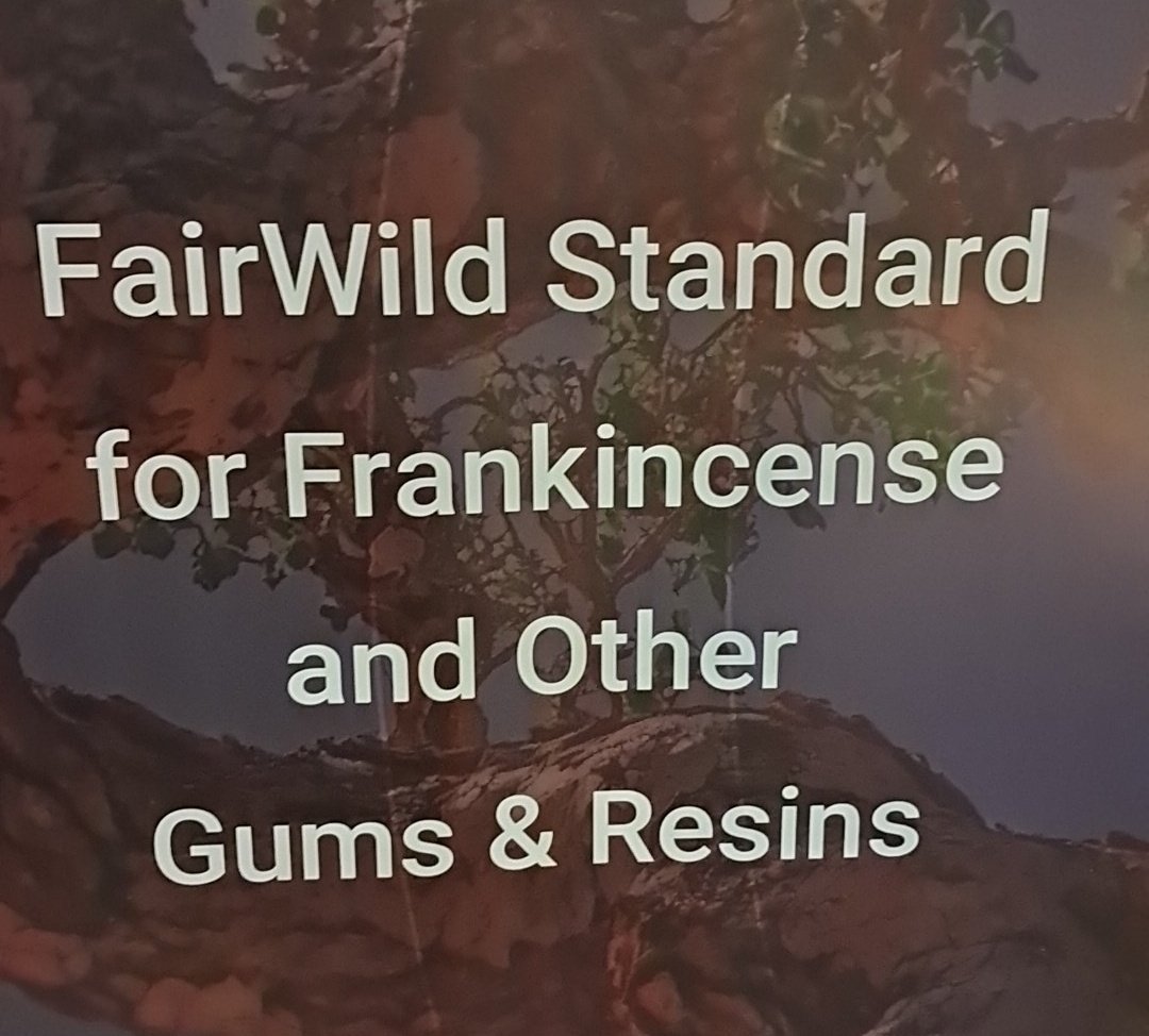 African Wildlife Economy Institute tweet media