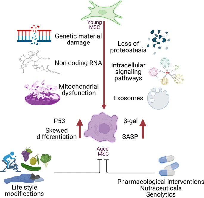 Aging Congress tweet media