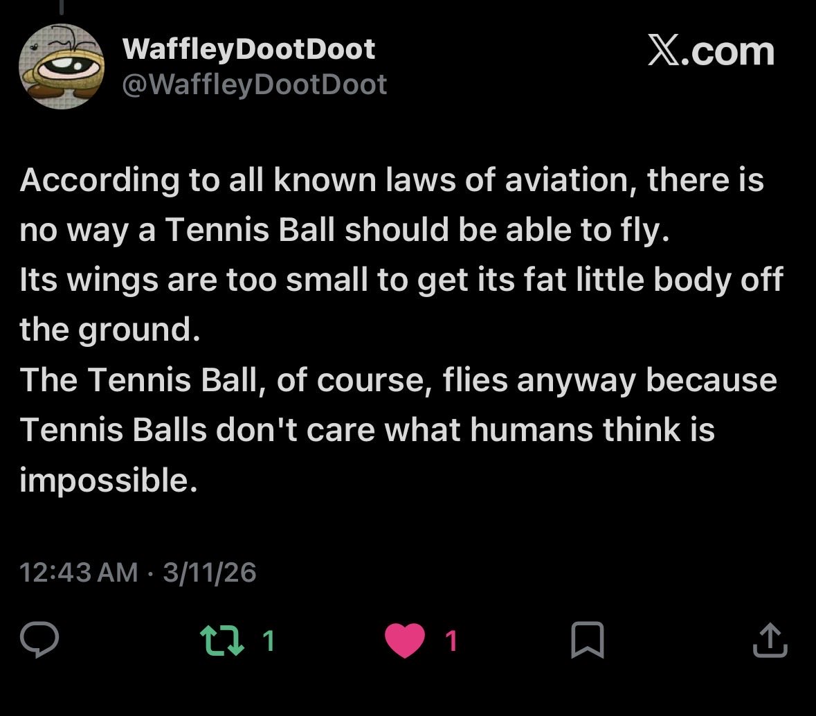 kinoiro/citrus tweet media