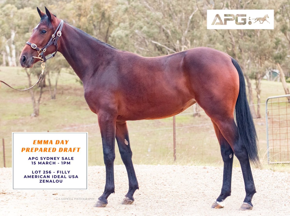 Michael Morrison tweet media