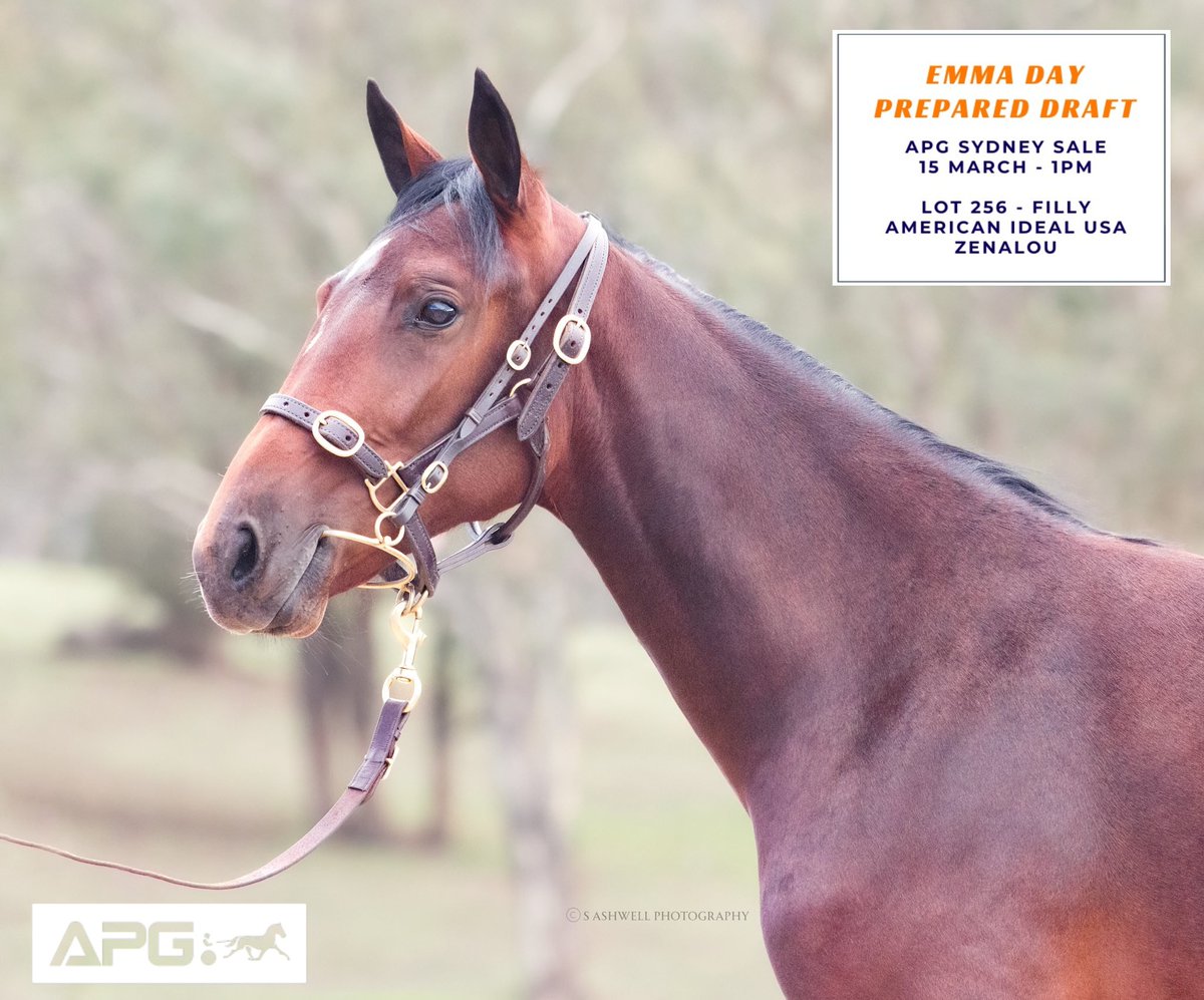 Michael Morrison tweet media