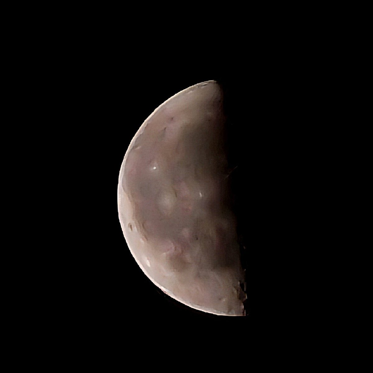 RogerYoda's tweet image. Bon dia twittaires! #Lluna #S22Ultra