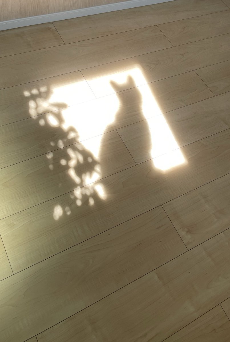 うめのこんぶ tweet media