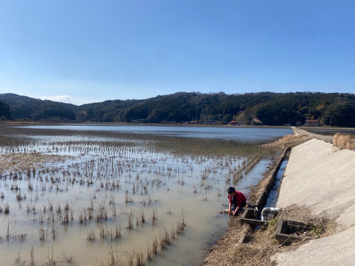 なおこ tweet media