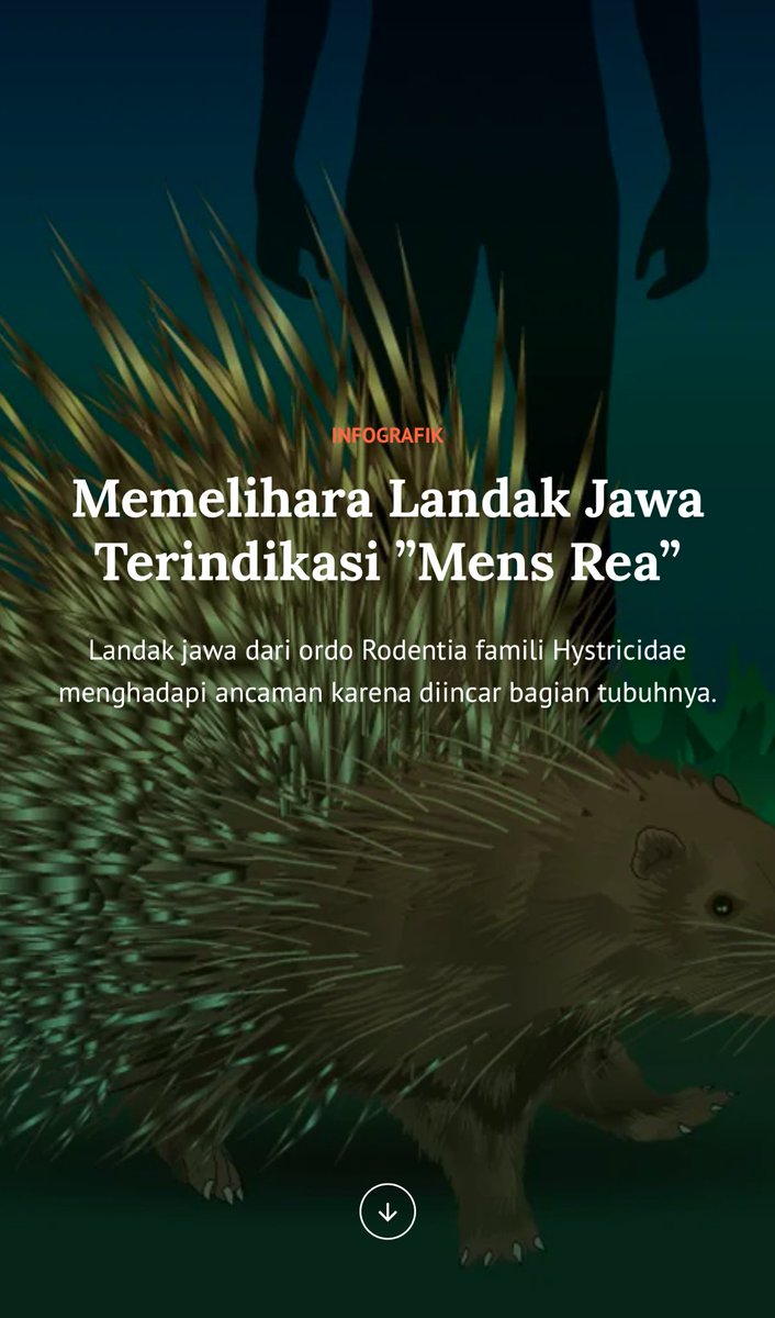 AidaGreenbury's tweet photo. Not all animals are pets or food! Some sentient beings play a crucial role in maintaining our ecosystem, allowing humans to harvest crops and survive. 

Hystrix javanica.
https://t.co/0xrr78R0mX https://t.co/Uci33tWC2s