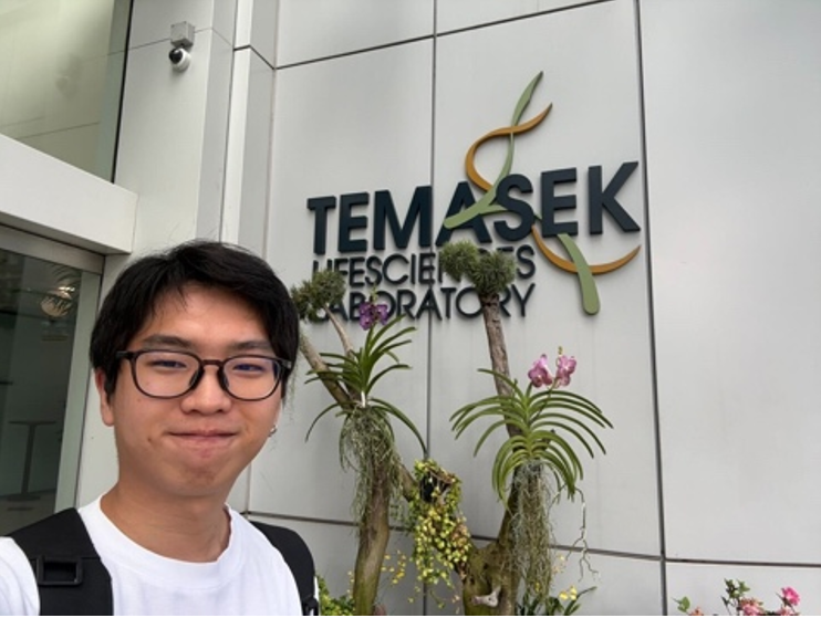 NAISTバイオサイエンス領域 tweet media