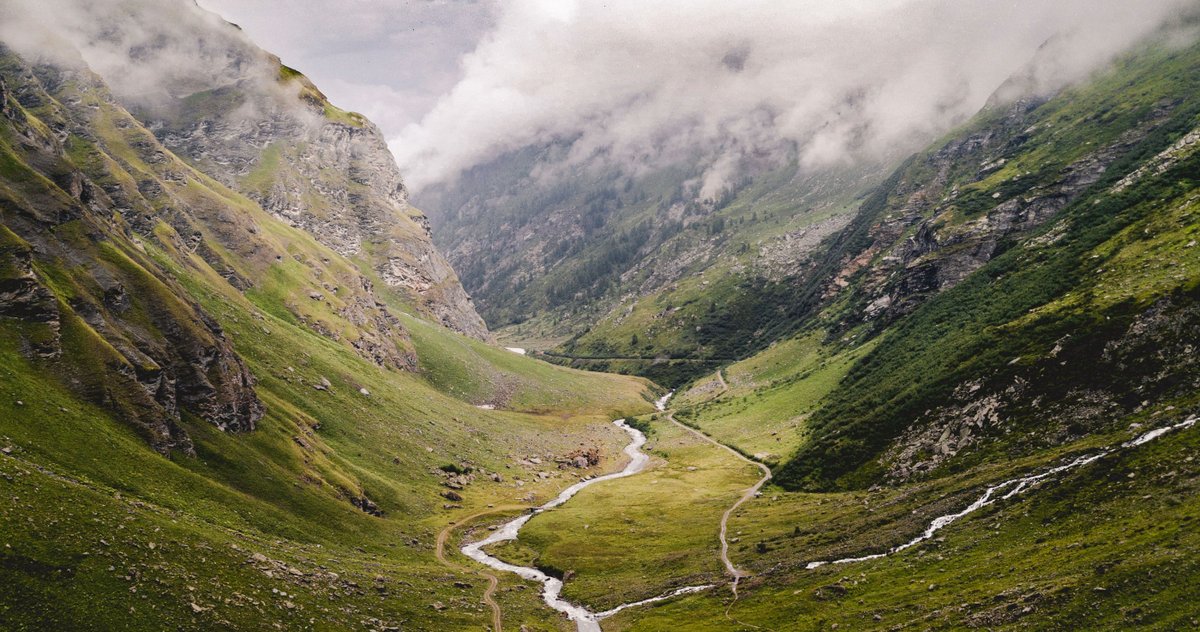 Aquila Report tweet media