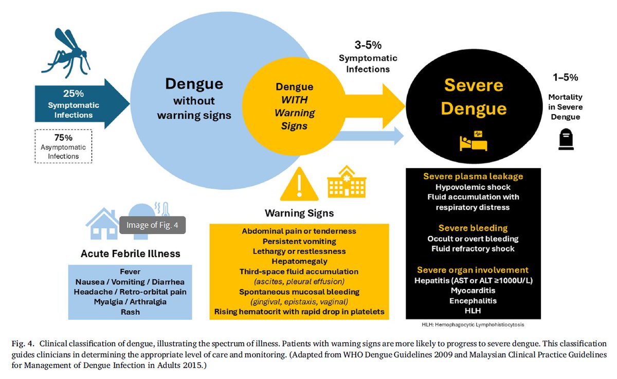 Steven Lim tweet media