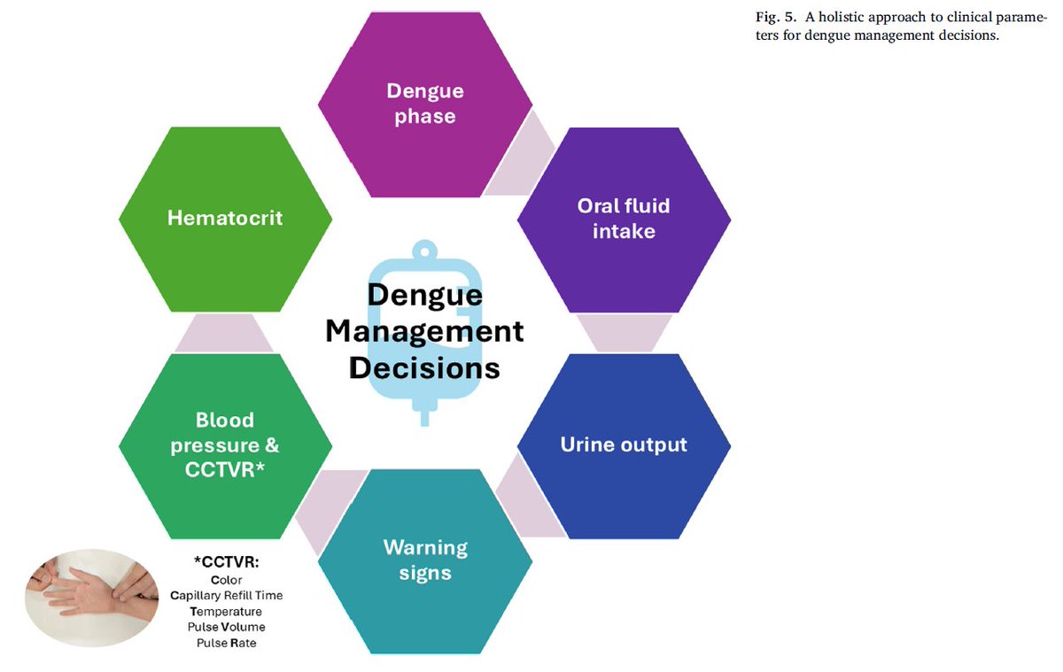 Steven Lim tweet media