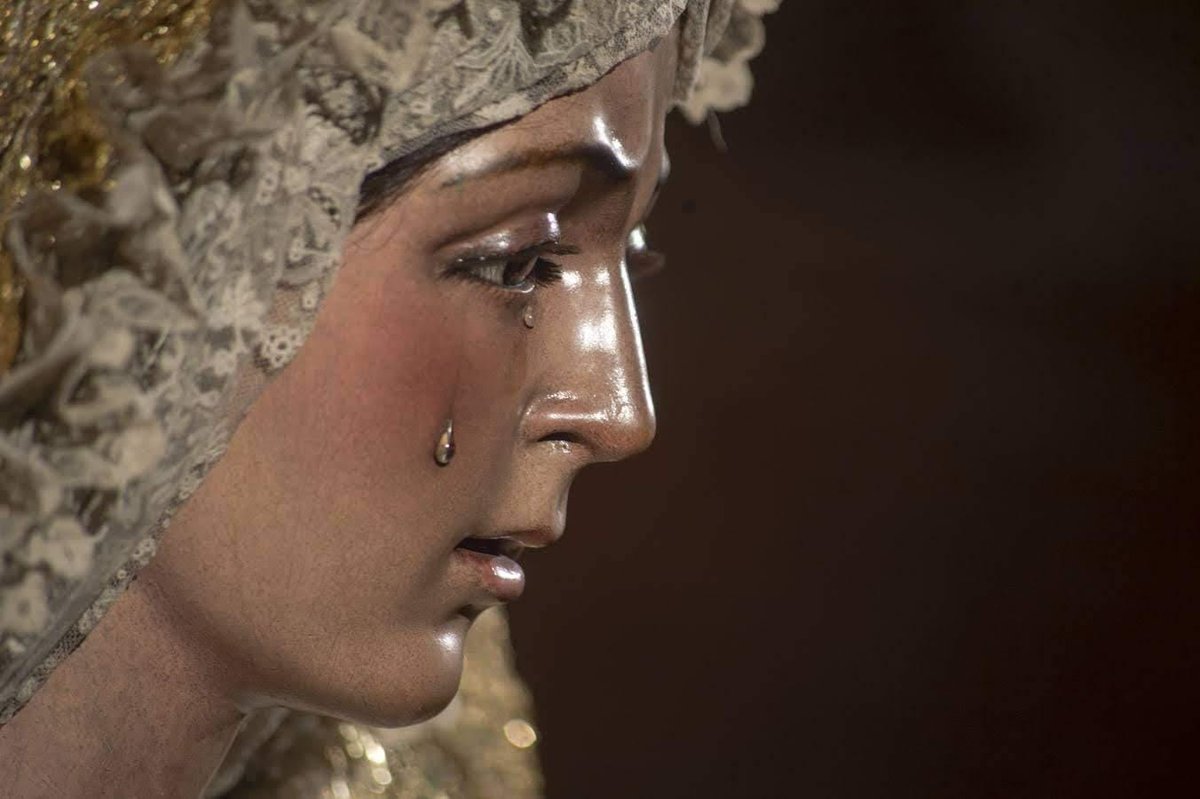 En este momento de la Historia la Iglesia Católica está, por así decir, sufriendo como Nuestra Señora sufrió. Debemos pedir a la Virgen que conserve en nosotros la visión del carácter inmutable, radiante e inmaculado de la Santa Iglesia, a pesar del profundo dolor que sufre en la