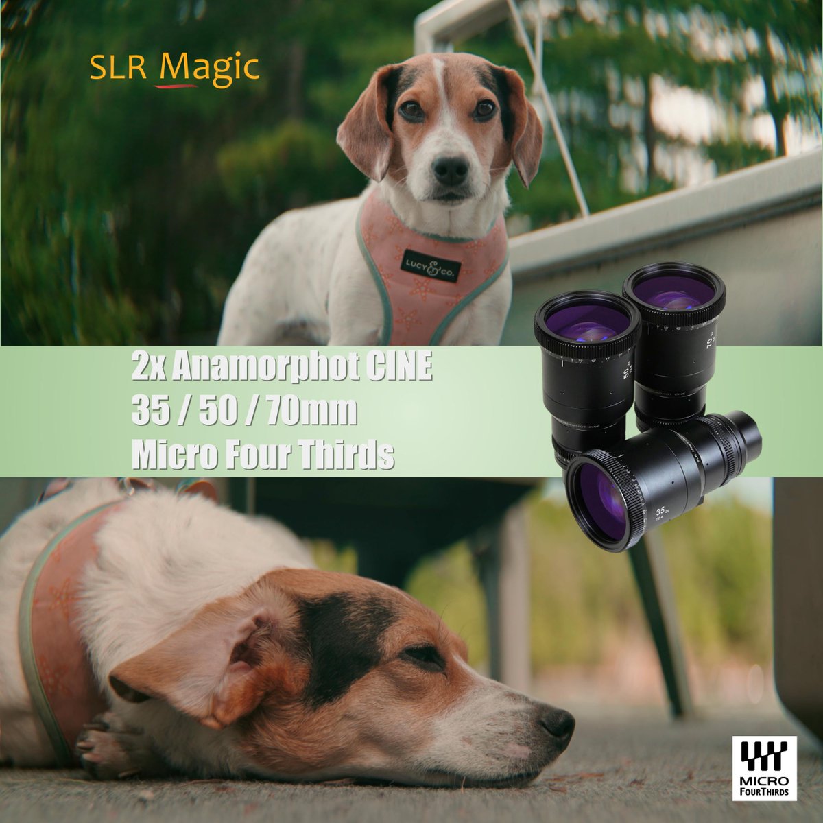 SLR Magic tweet media