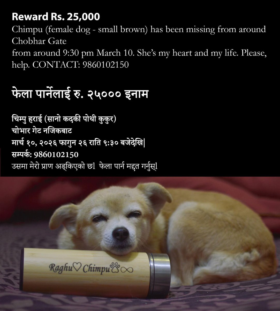 DON कि YETi? tweet media