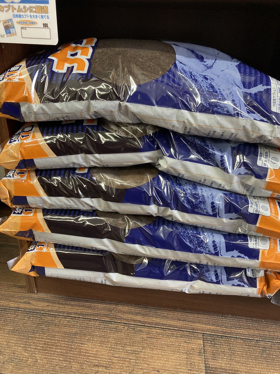 入荷情報@インセクトファミリー tweet media